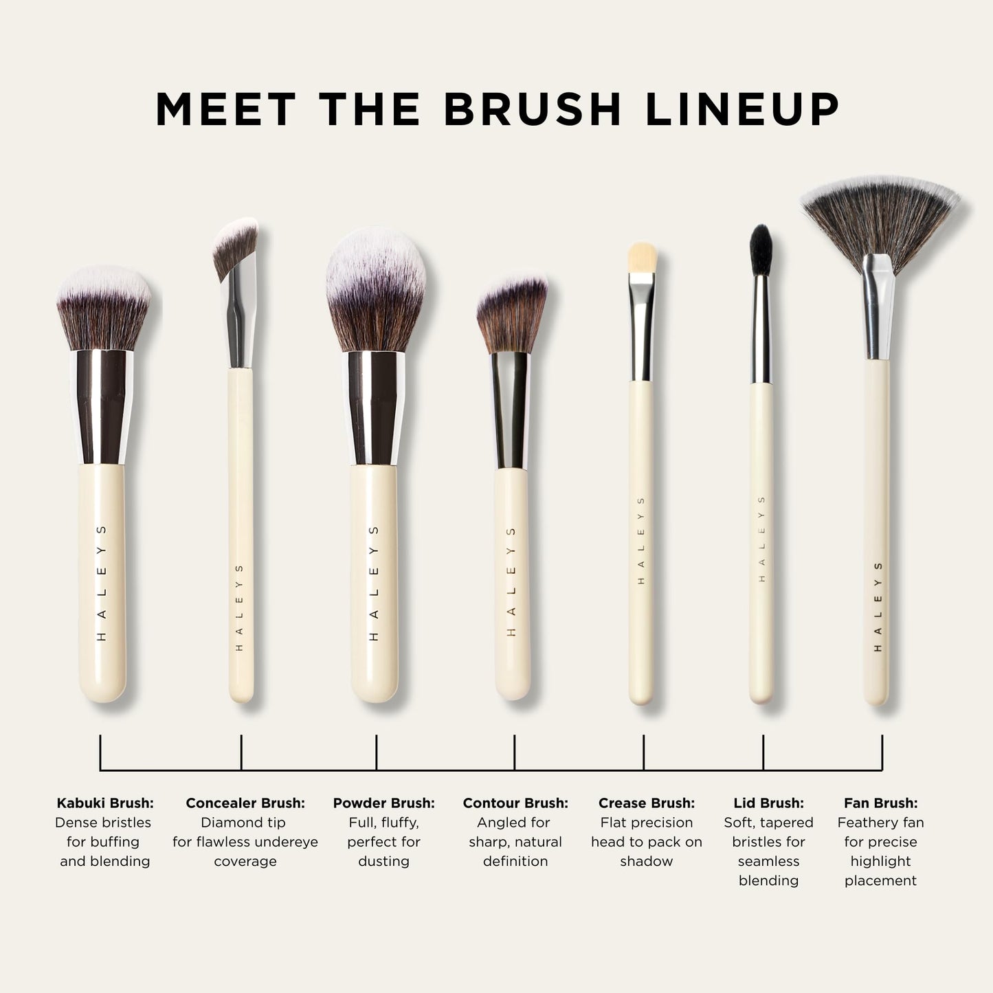 HALEYS Beauty Crease Eyeshadow Makeup Brush, Medium Fluffy Tapered Blending Brush for Eye Shadow & Highlighter Make Up, Seamless Application for Cream Beauty & Personal Care HALEYS