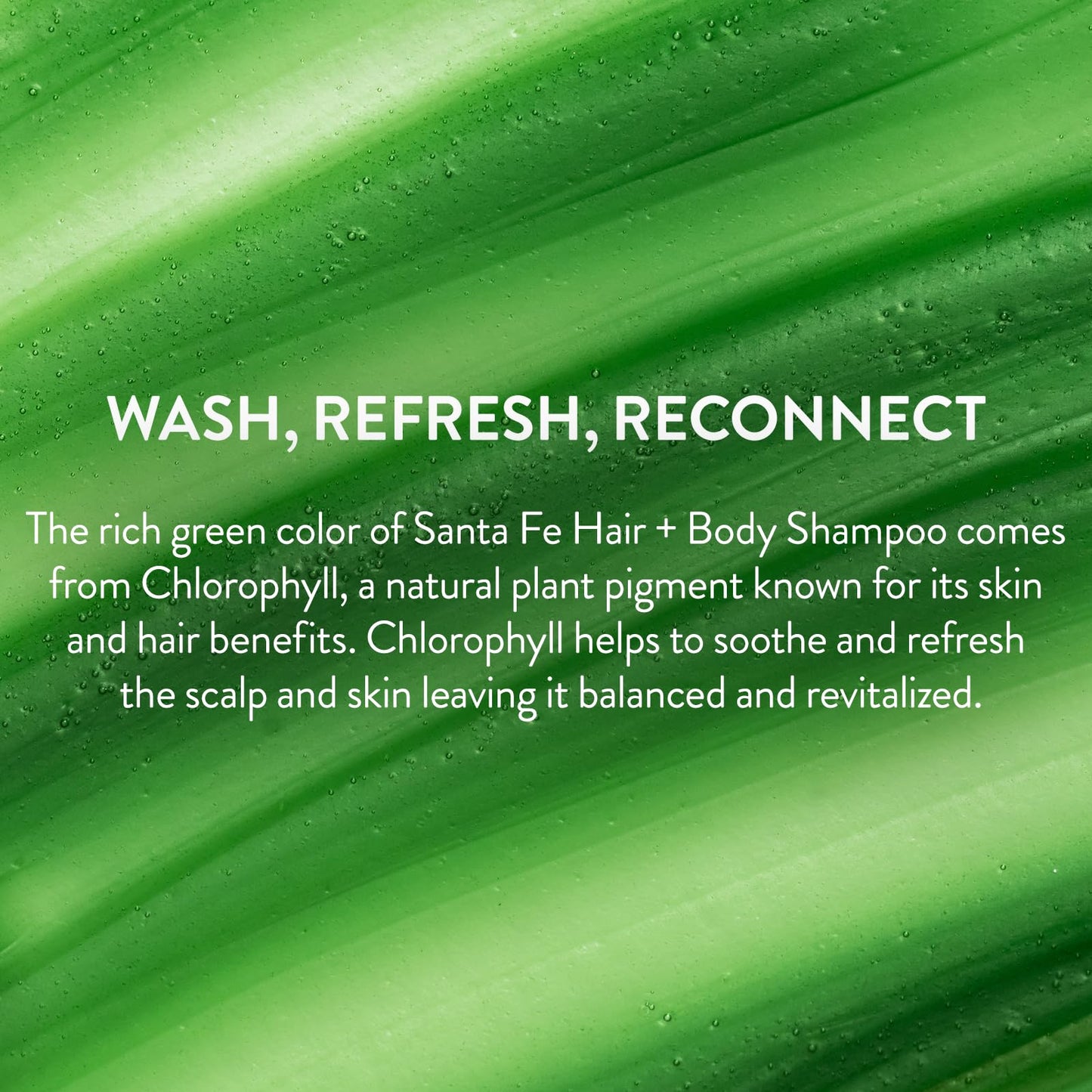 PHILIP B Santa Fe Hair and Body Shampoo (11.8 Fl Oz) - Gentle Cleanser, Hydrates and Softens with Shea Butter & Vitamin B5 Beauty & Personal Care PHILIP B
