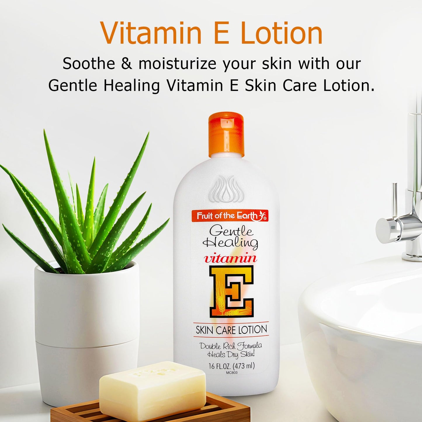 Fruit of the Earth, Vitamin E Lotion 16 oz (2 Pack), with Natural Antioxidants and Aloe Vera, Non-Greasy Formula Beauty & Personal Care Fruit of the Earth