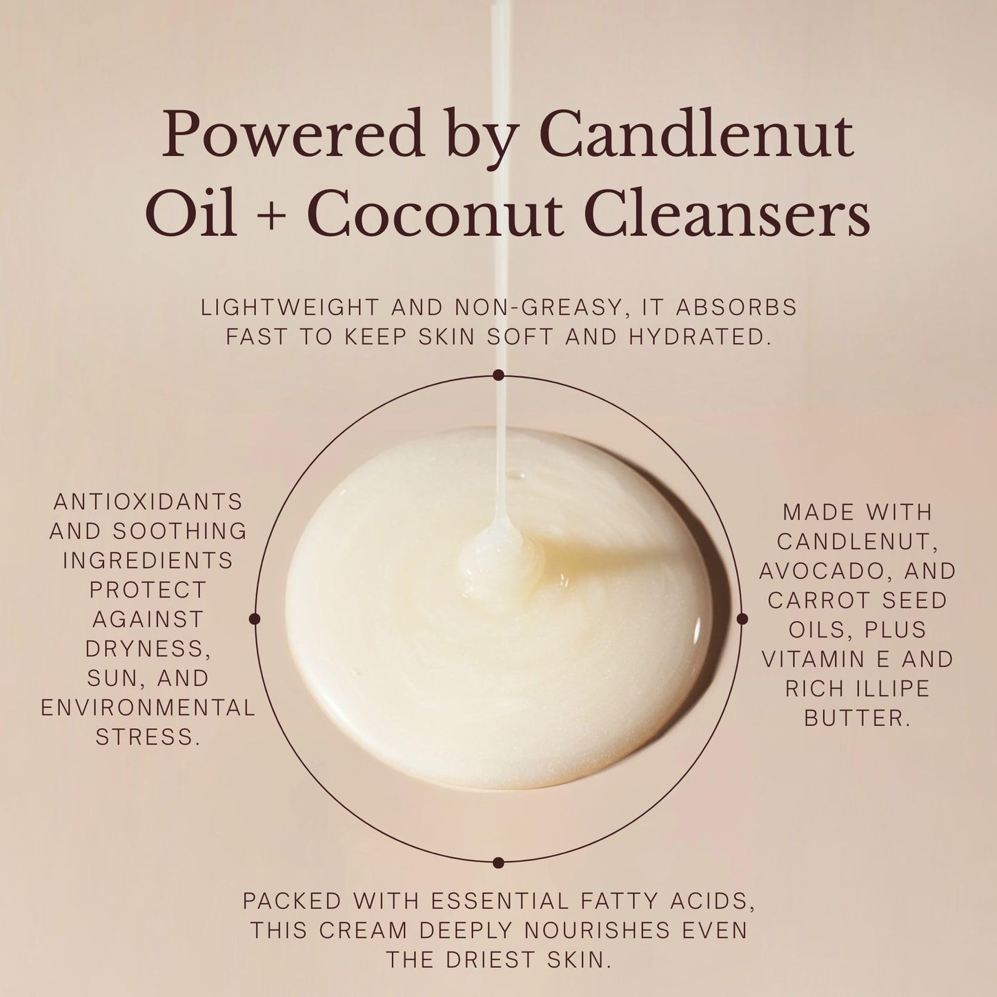Juara Candlenut Hydrating Shower Gel - Sulfate Free Body Wash 12oz - Moisturizing Coconut Body Wash - Natural Shower Gel for Sensitive Skin - Paraben Beauty & Personal Care Juara