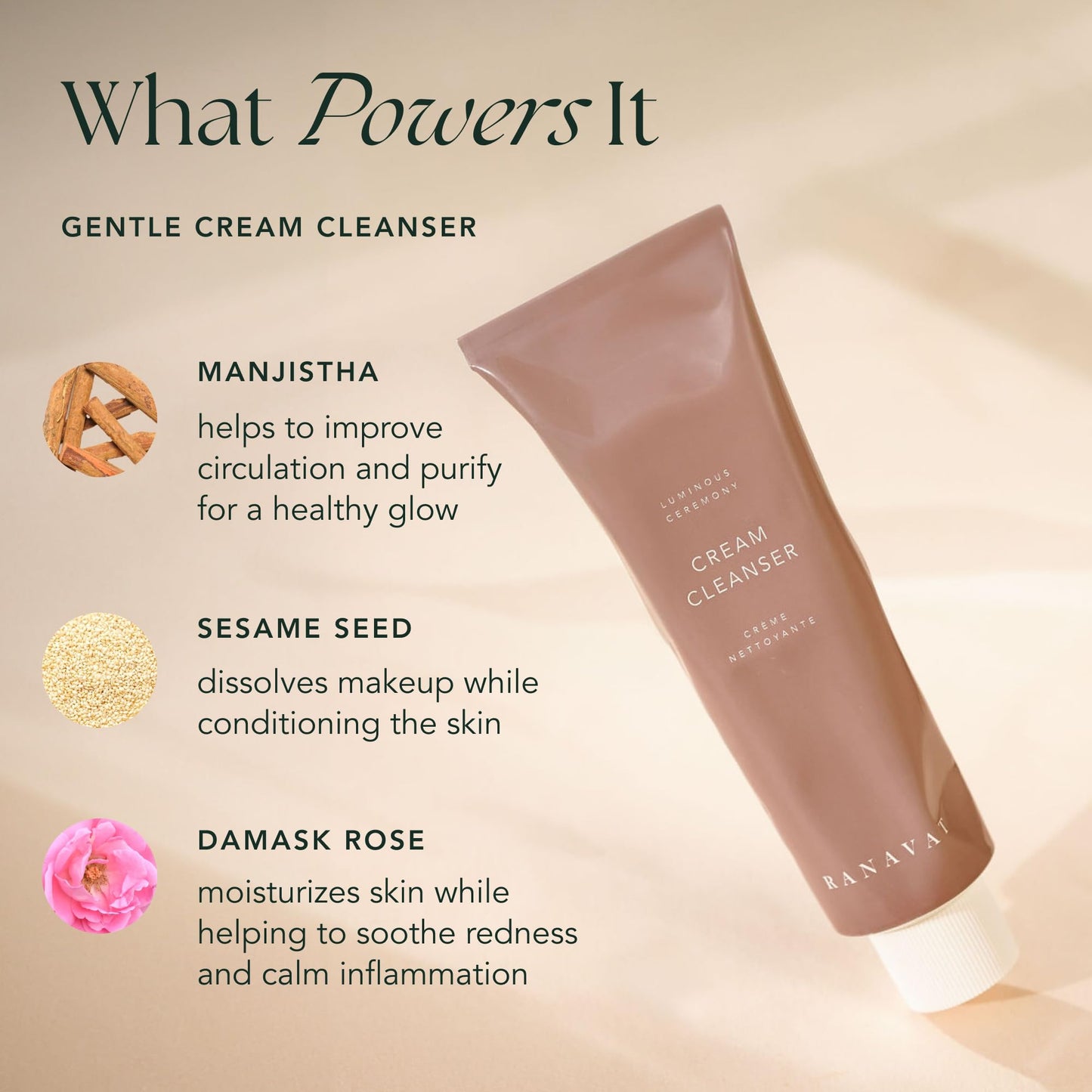 RANAVAT Cream Cleanser - Daily Facial Cleanser Doubles as Waterproof Eye Makeup Remover - Gentle Face Wash to Detoxify and Nourish (3.4 oz) Beauty & Personal Care RANAVAT BOTANICS
