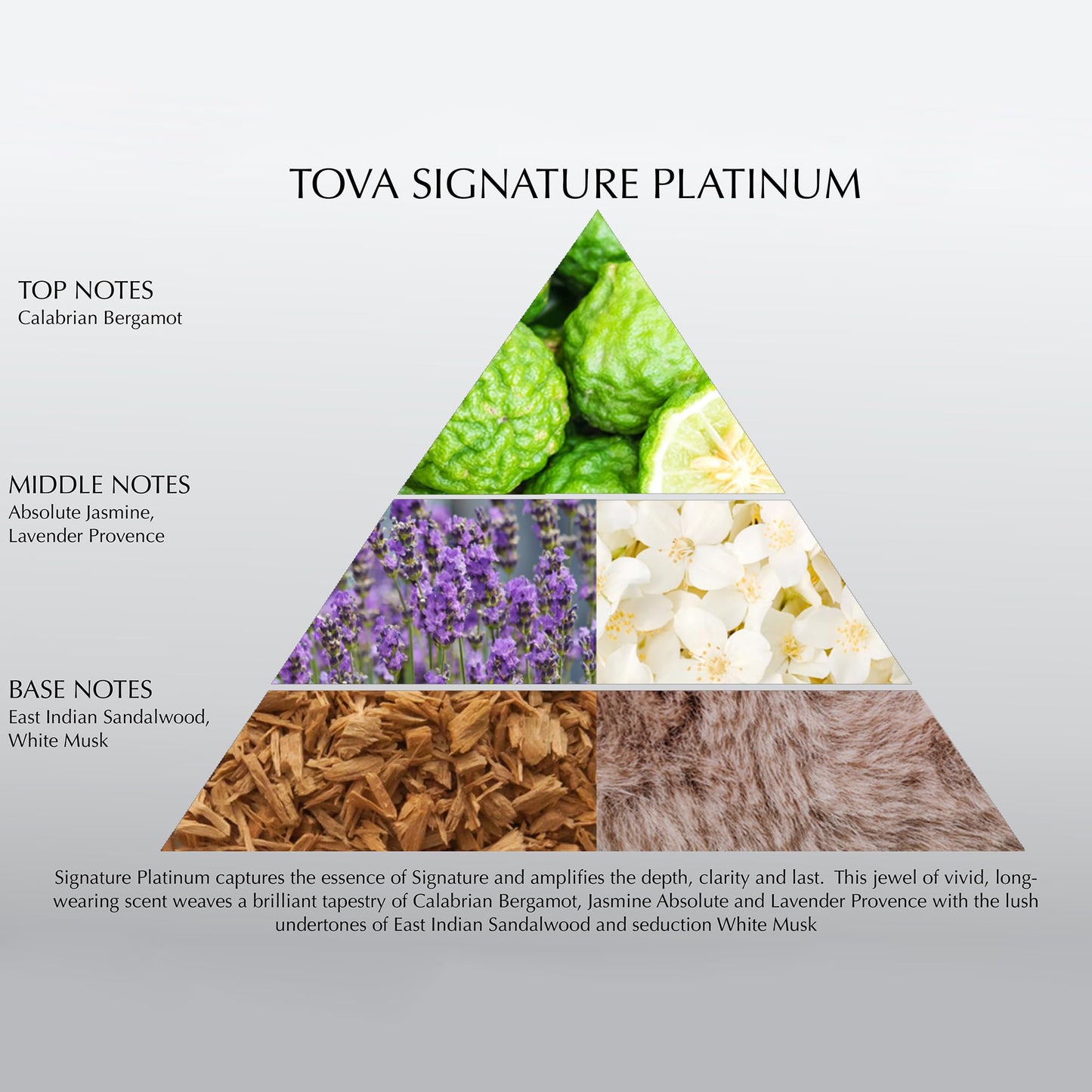 Tova - Signature Platinum - Eau De Parfum - 3.4 oz Beauty & Personal Care Tova