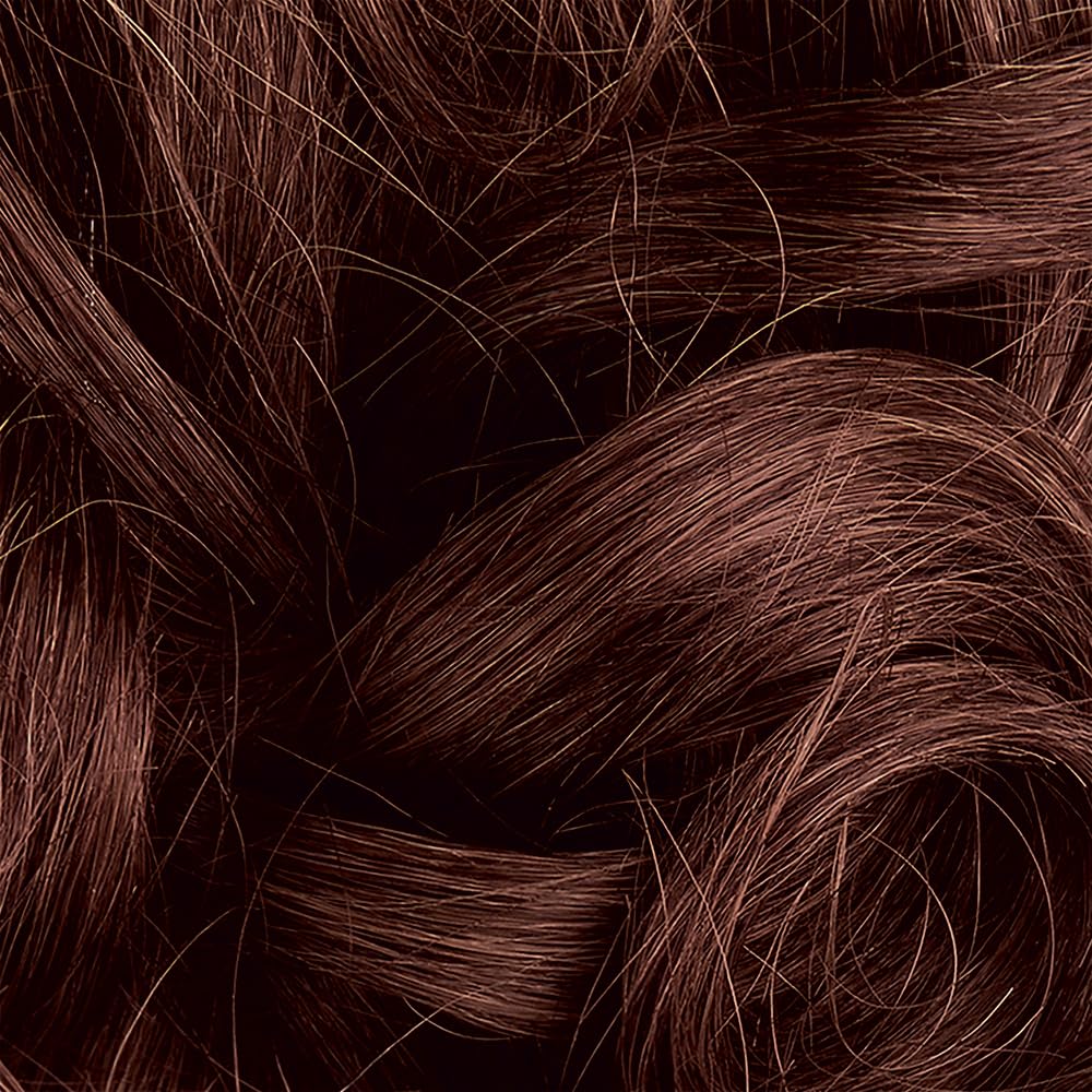 HERBATINT 5R Light Copper Chestnut Permanent Hair Colour, 4 OZ Beauty & Personal Care Herbatint