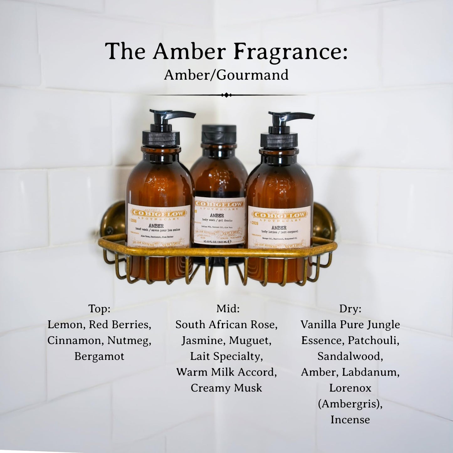 C.O. Bigelow Iconic Collection Amber Hand Wash, Scented Hand Soap with Aloe Vera and Shea Butter, 10.5 fl oz Beauty & Personal Care C. O. Bigelow