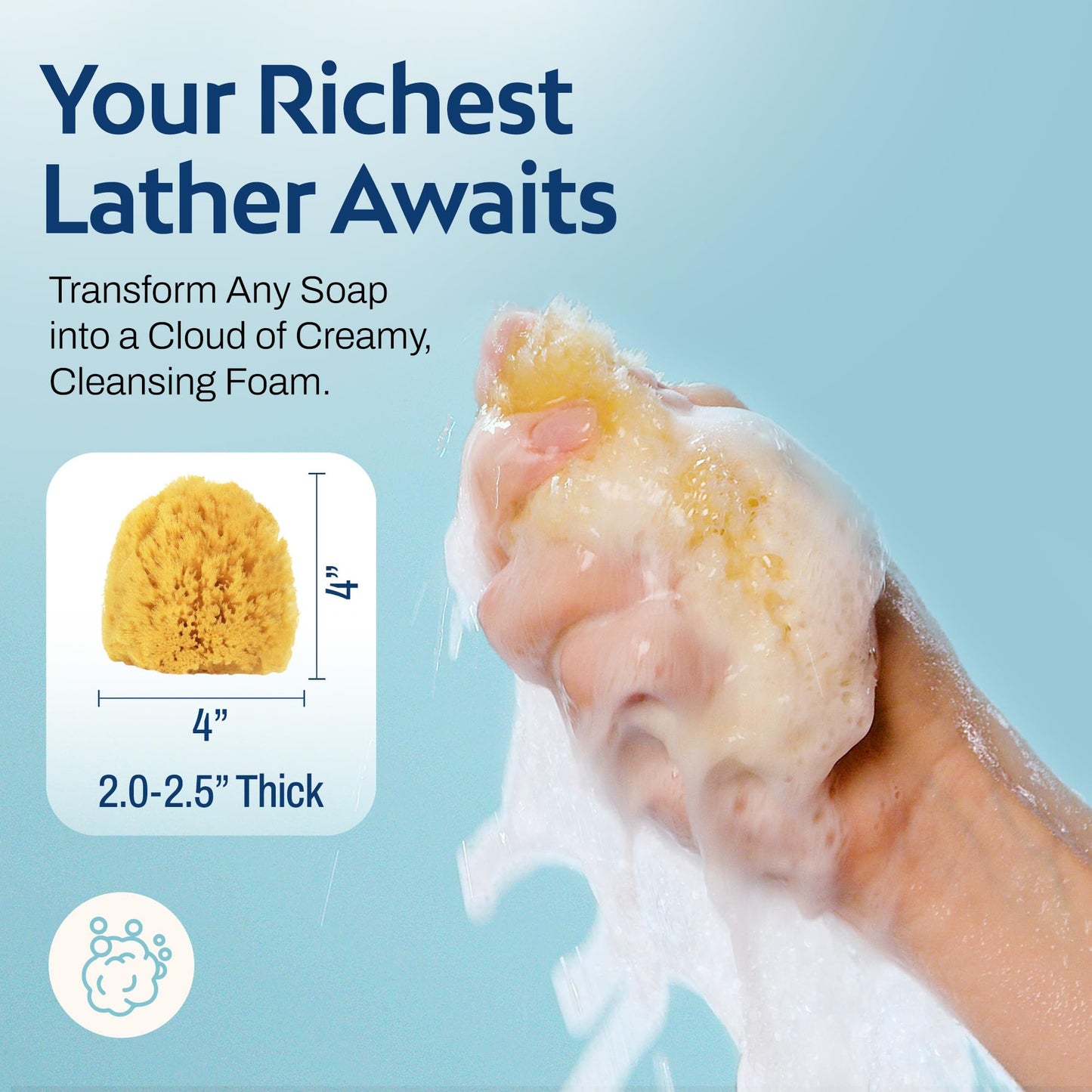 HartFelt Exfoliating Grass Sea Sponge Beauty Box - 2 Bath Sponges for Shower Women & Men 4in - Natural Sponge with Mesh Bag for Cleaning & Drying Beauty and Personal Care HartFelt
