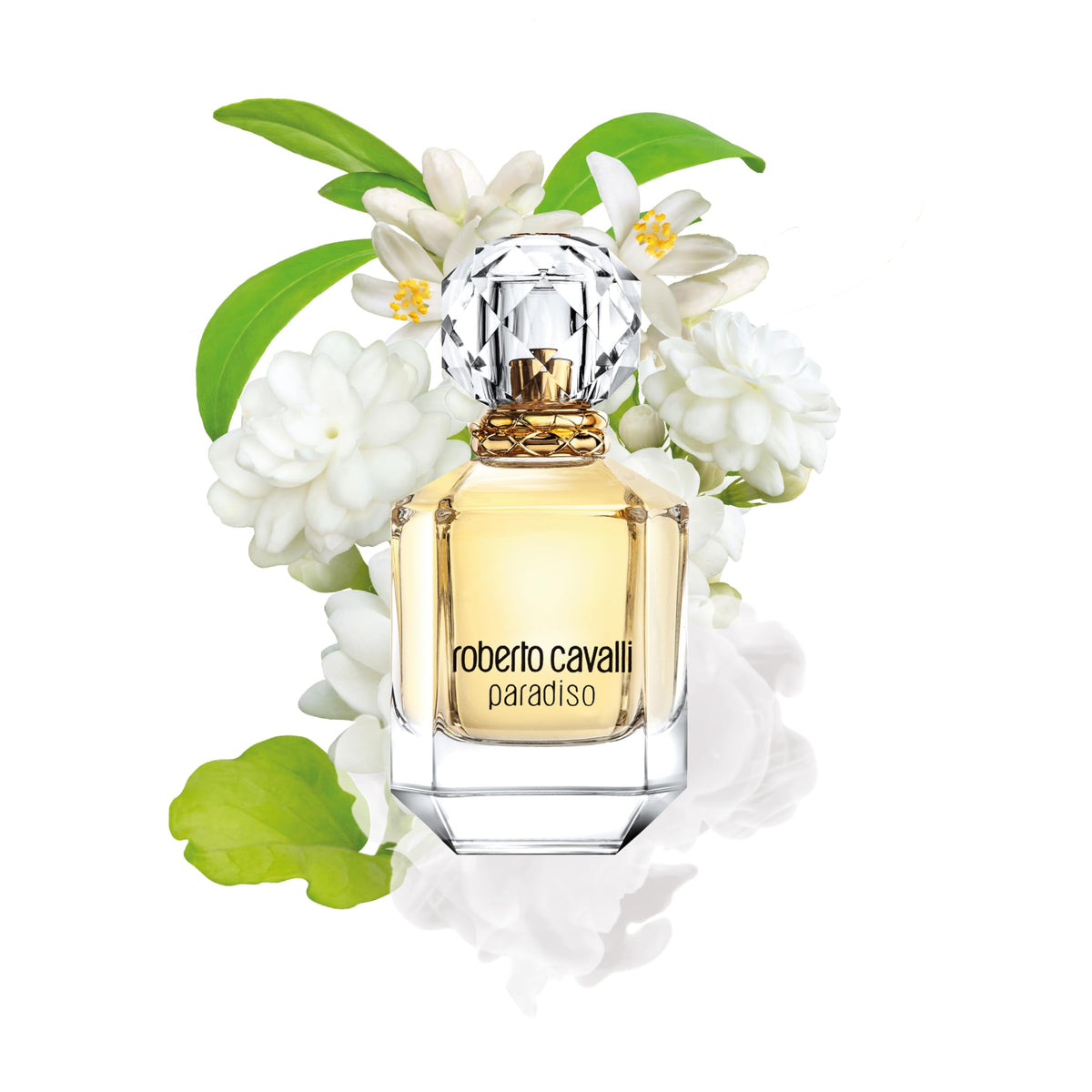 Roberto Cavalli Paradiso Eau De Parfum, 2.5 Fl Oz Beauty & Personal Care ROBERTO CAVALLI