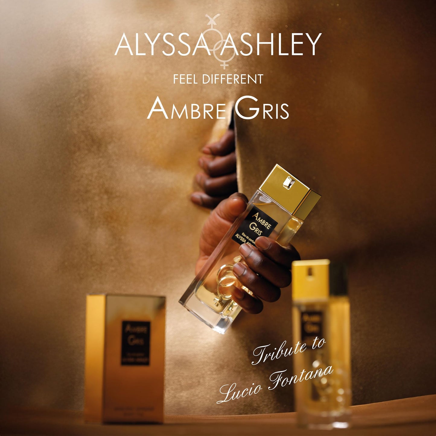Alyssa Ashley - Ambre Gris Eau de Parfum - Amber Grey - 50 ml Beauty & Personal Care ALYSSA ASHLEY