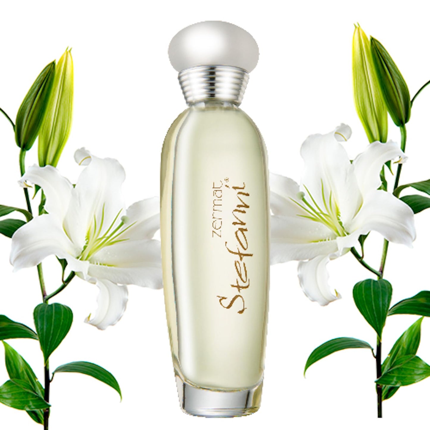 Zermat Stefanni Women perfume - Modern Floral and Fruity Scent with Notes of Fruits, Jasmines, and Lilies- Eua Perfum. Beauty & Personal Care Zermat
