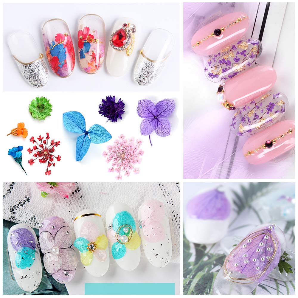iFancer 108 Pcs Dried Flowers for Resin Nail Art 62 Colors 3D Dry Flowers for Nails 2 Boxes Small Tiny Dried Flowers for Nail Art Little Pressed Real Beauty & Personal Care iFancer