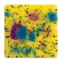 Mayco Jungle Gems Crystal Glaze - Mardi Gras, Pint Beauty & Personal Care Mayco
