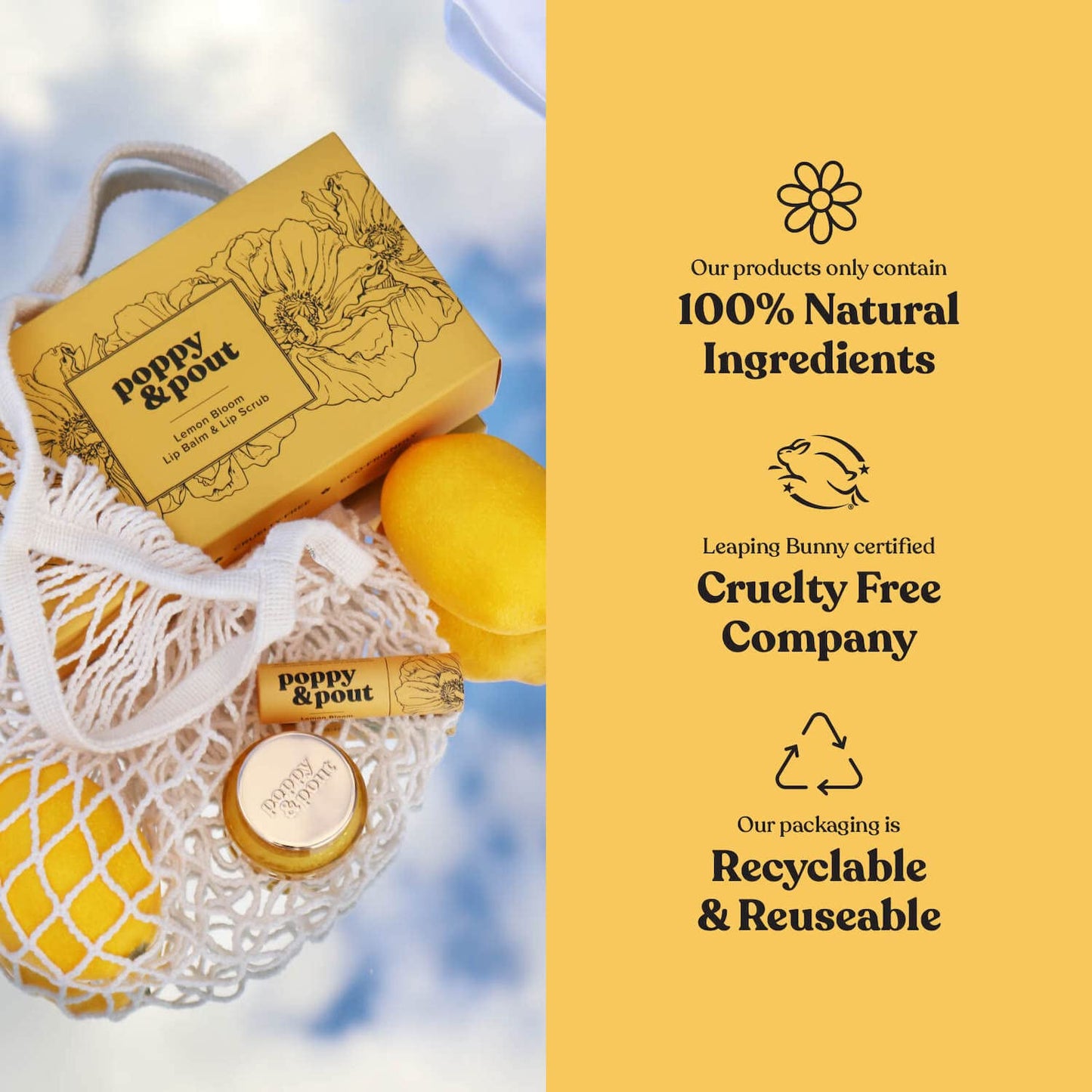 Poppy & Pout Lip Care Set - Lip Balm & Scrub - Sustainable Cardboard Tubes & Glass Jars, All Natural, Beeswax, Coconut Oil, Cruelty Free, Exfoliating Beauty and Personal Care Poppy & Pout