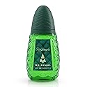 Pino Silvestre Original By Pino Silvestre For Men - A Men's Eau De Toilette Cologne Perfume Spray With A Million Dollar Fragrance - An Extreme Beauty & Personal Care Pino Silvestre