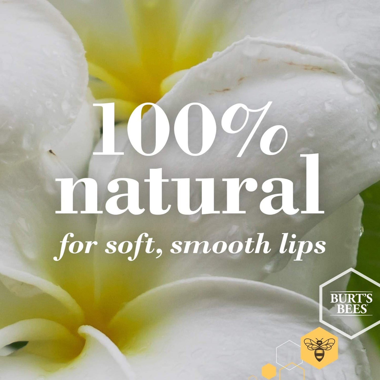 Burt's Bees 100% Natural Moisturizing Lip Balm, Superfruit - Pink Grapefruit, Mango, Coconut & Pear, Pomegranate - 4 Tubes Beauty and Personal Care Burt's Bees