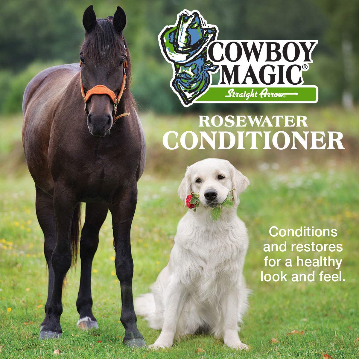 Cowboy Magic Shampoo + Conditioner 32 Ounce Bottles Detangler and Shine 4oz Beauty & Personal Care Cowboy Magic