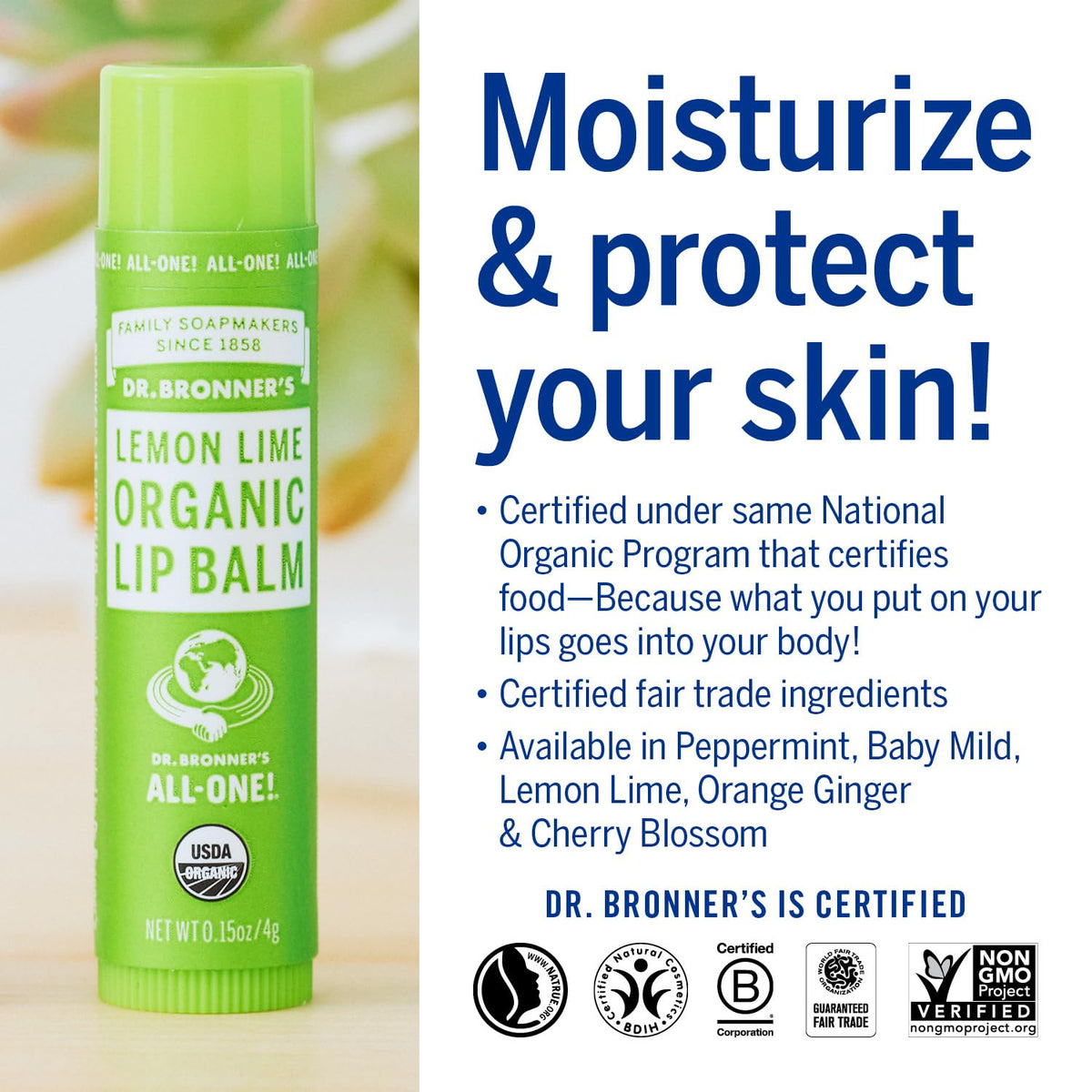 Dr. Bronners Lemon Lime Lip Balm, 4 GR Beauty & Personal Care Dr. Bronner's