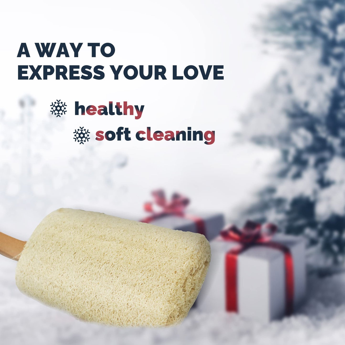 Bleu Bath (2 Pack) Exfoliating Loofah Back Brush Dry Body Brush in 100% Natural and Organic Luffa with Long Wooden Handle Fixed, Scrubber Brush Beauty and Personal Care Bleu Bath