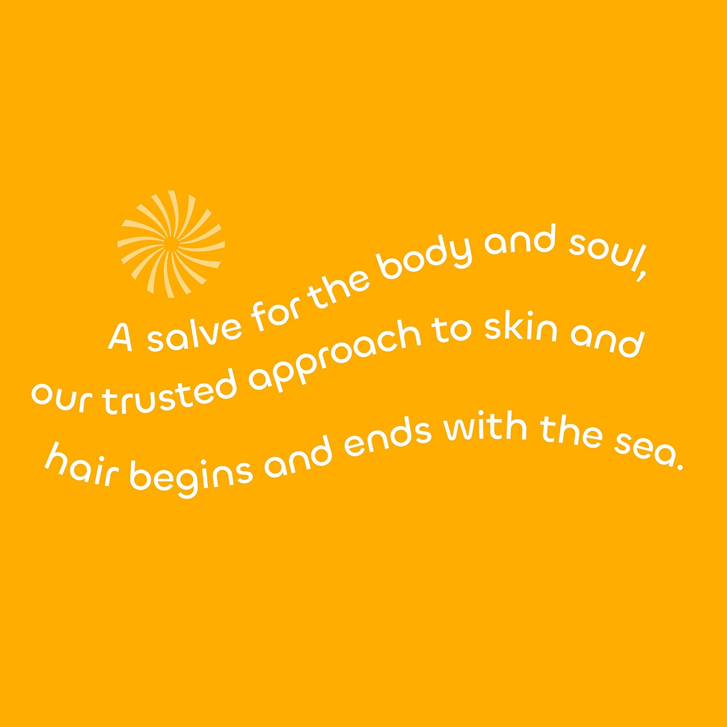 Seaweed Bath Co. Hydrate Body Cream, Citrus Vanilla Scent, 6 Ounce, Nourishing Hand & Body Lotion Moisturizer for Dry Skin, with Sustainably Harvested Beauty & Personal Care The Seaweed Bath Co.