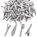 30MM Small Alligator Hair Clips, 100 Pieces Silver Metal Alligator Hair Pins Teeth Bows Crocodile Hair Clips Holders Accessories for Hair Care, Arts Beauty & Personal Care Aylifu