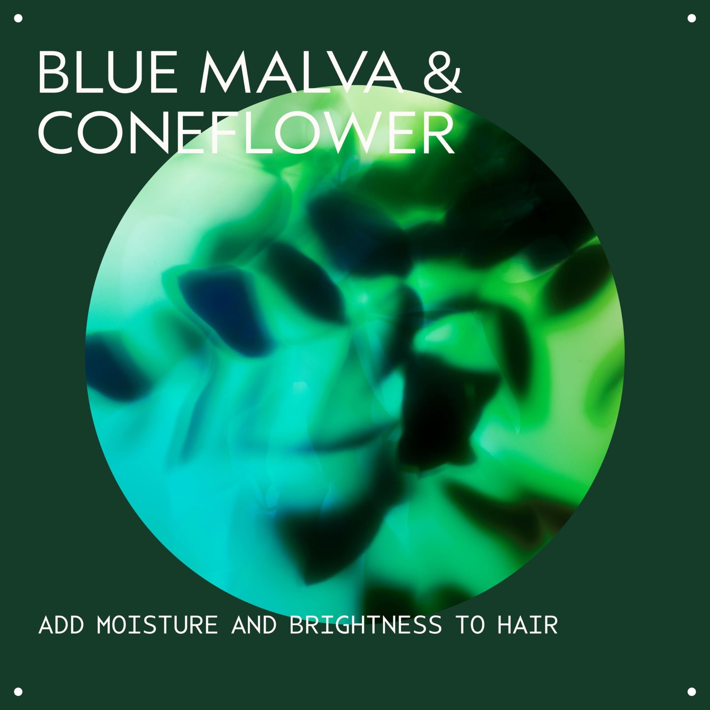 Aveda Blue Malva Color Conditioner | Purple Conditioner for Silver, Gray, Blonde Hair | Neutralizes Brassiness | Deeply Conditions Hair, 8.5 Fl Oz Beauty & Personal Care Aveda