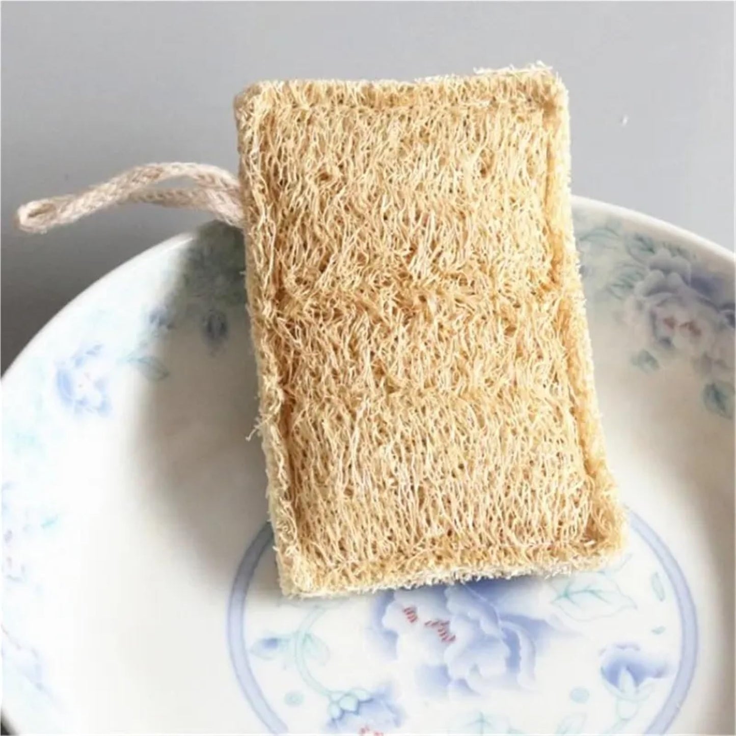 Kitchen Loofah Sponge Greener Clean Tools Non-Scratch Brush Natural Dish Scrubbers Luffa Loofa Lufa Sponge Tools(1 pcs) Beauty and Personal Care HIVJEEDYH