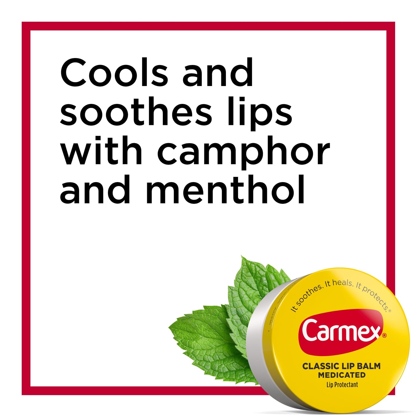 Carmex Medicated Lip Balm Jar, Lip Moisturizer for Dry, Chapped Lips, 0.25 OZ - (5 Packs of 3) Beauty and Personal Care Carmex