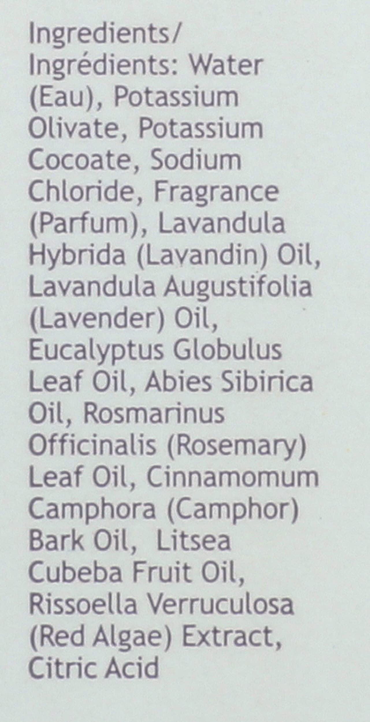 South Of France, Hand Wash Lavender Fields, 8 Fl Oz Beauty & Personal Care South Of France