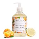 Deep Steep Liquid Hand Wash, Citrus Champagne, 17.6 oz - Moisturizing Cleanser with Olive Oil, Aloe Vera, Glycerin & Hyaluronic Acid - Vegan, Clean Beauty & Personal Care Deep Steep