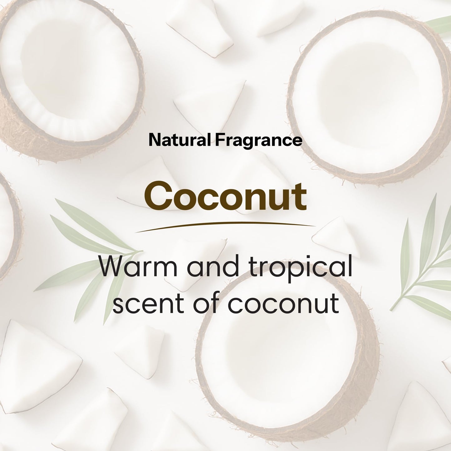 ShiKai Daily Moisturizing Shower Gel (Coconut, 12oz, Pack of 2) | Gentle Formula | Aloe Vera & Oatmeal for Soft, Healthy Skin | Dry Skin Relief Beauty & Personal Care ShiKai