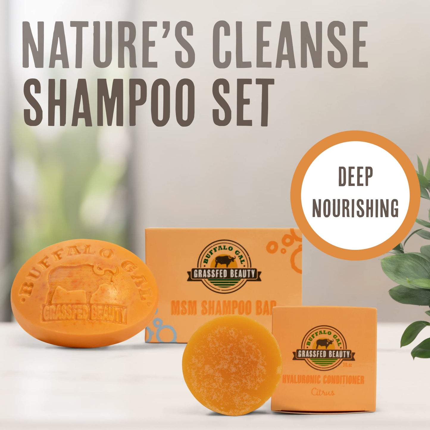 MSM Shampoo Bar + Hyaluronic Hair Conditioner Bar, Solid Bar Shampoo and Conditioner for Hair Growth, Non-Soap, For All Hair Types, Citrus, Set of 2 Beauty & Personal Care BUFFALO GAL