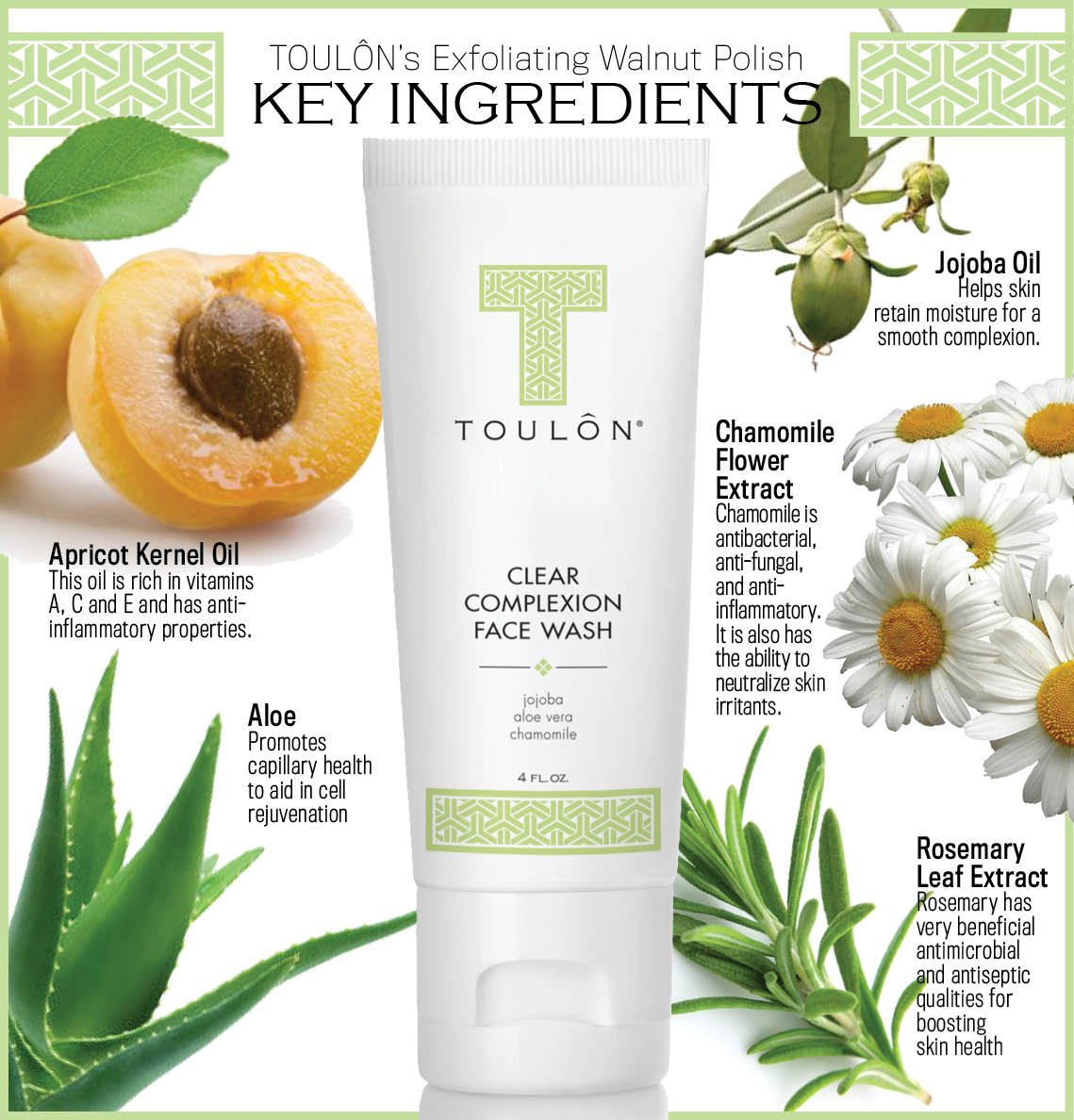 TOULON Aloe Vera Face Wash - Anti Aging Face Cleanser for Oily Skin & Clear Complexion. Antioxidant Facial Cleanser For Women and Men Beauty & Personal Care TOULON