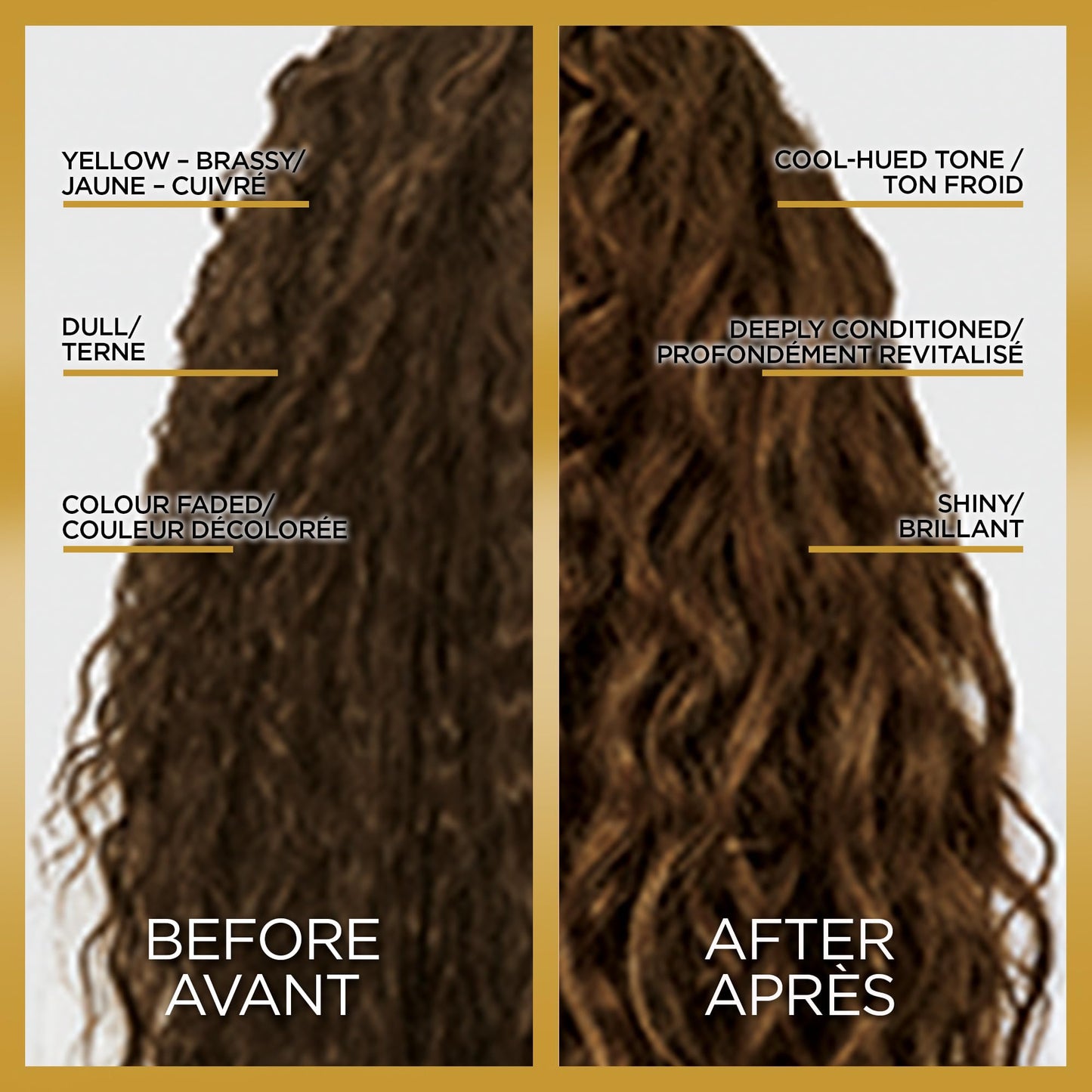 L'Oreal Paris Le Color One Step Toning Hair Gloss, Cool Brunette, 4 Ounce Beauty & Personal Care L'Oreal Paris