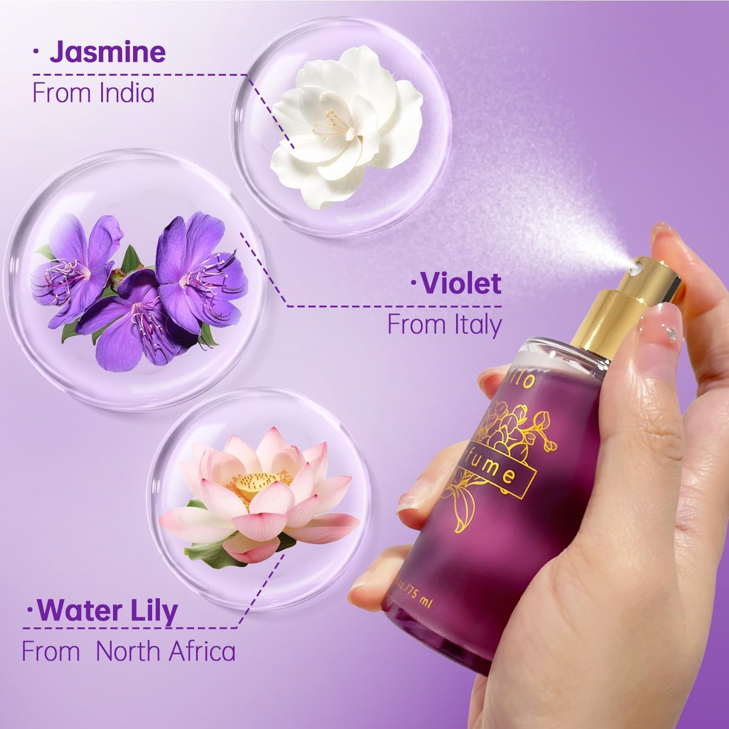 Aiilo Hair Perfume, Natural Fragrant Hair Perfume for Women, 8 Hours Longevity, Suitable for Hair, Body & Clothes - 75ml/2.54 fl oz (Transparent Beauty & Personal Care Aiilo