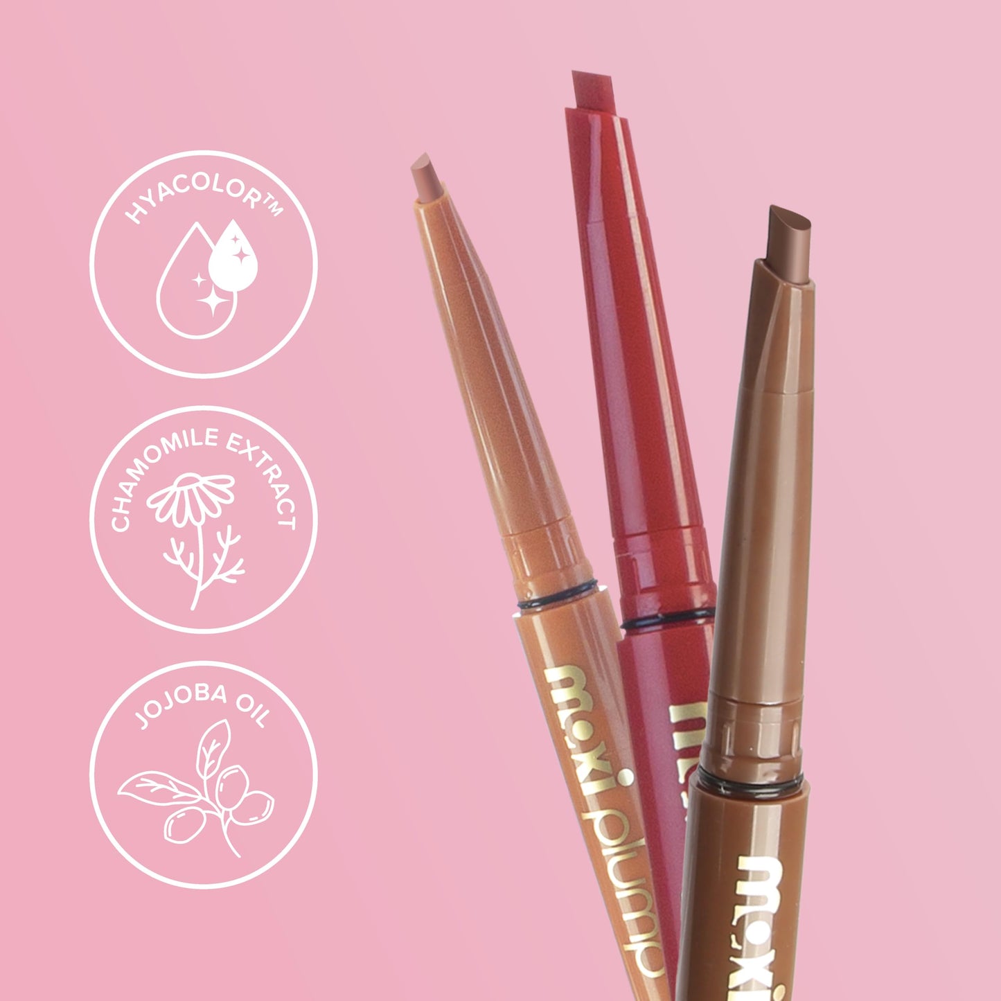 Absolute New York Maxi Plump Lip Liner, Line, Prime and Shape, Cooling and Plumping, Waterproof and Long-Lasting for Maximized Lip Volume (MLMP05 Beauty & Personal Care Absolute New York