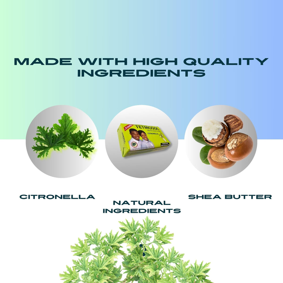 NatoGears Tetmosol Medicated Soap Big Size With Citronella 120g (4)