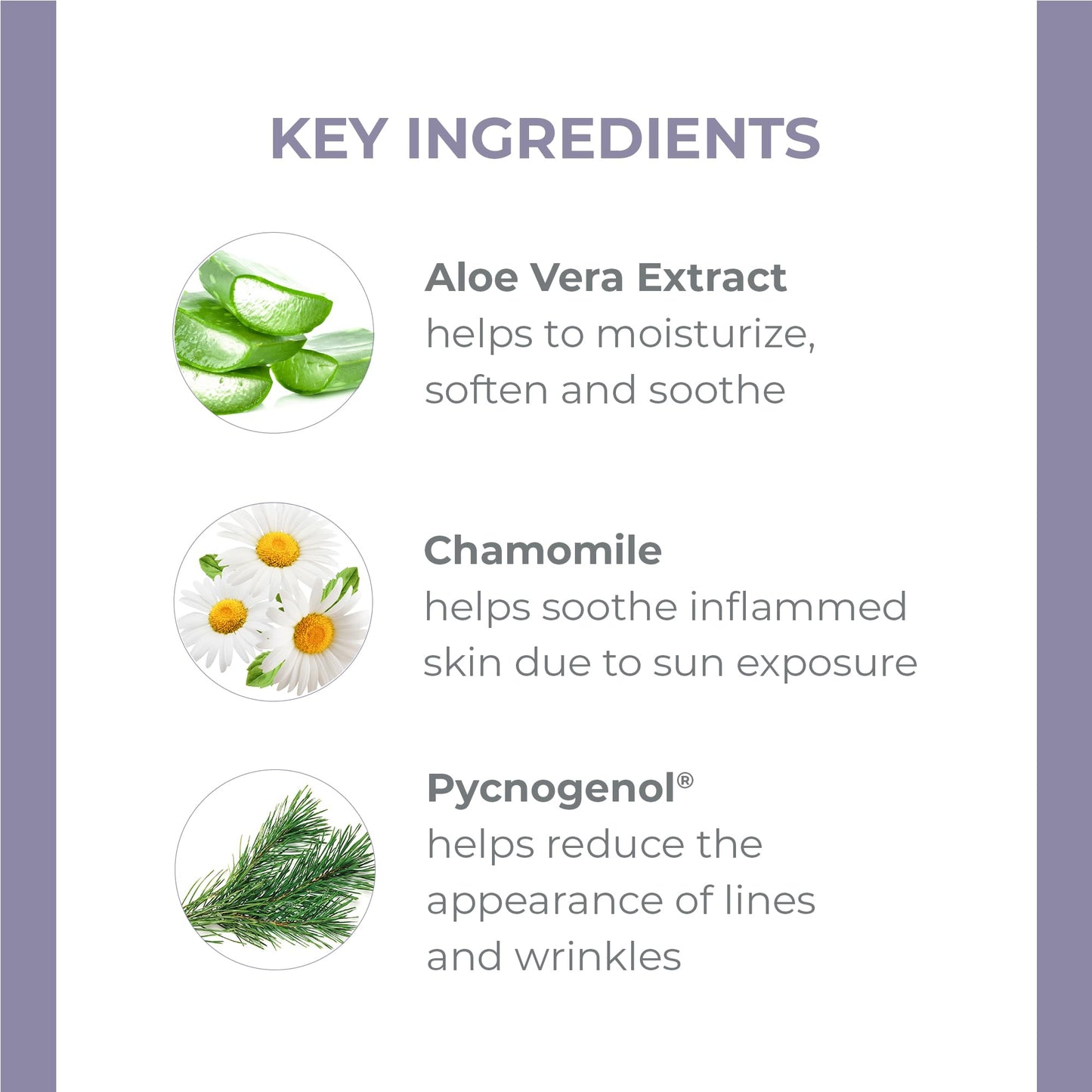 Derma E Vitamin E Fragrance Free Sensitive Skin Shea Hand Repair Cream - Intensive Therapy Hand Cream - Cruelty Free Unscented Lotion for Dry or Beauty & Personal Care Derma E
