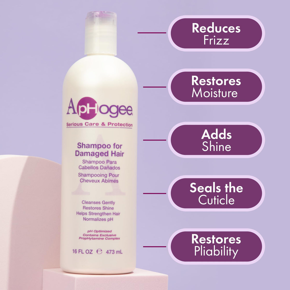 Aphogee Replenishing Repair Shampoo for Dry Damaged Hair (16 Fl Oz)