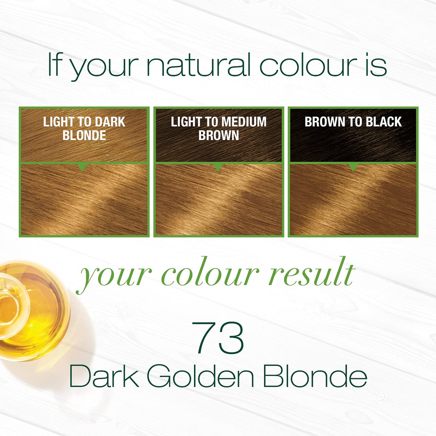 Garnier Nutrisse Haircolor - 73 Honeydip (Dark Golden Blonde) 1 Each Beauty & Personal Care Garnier