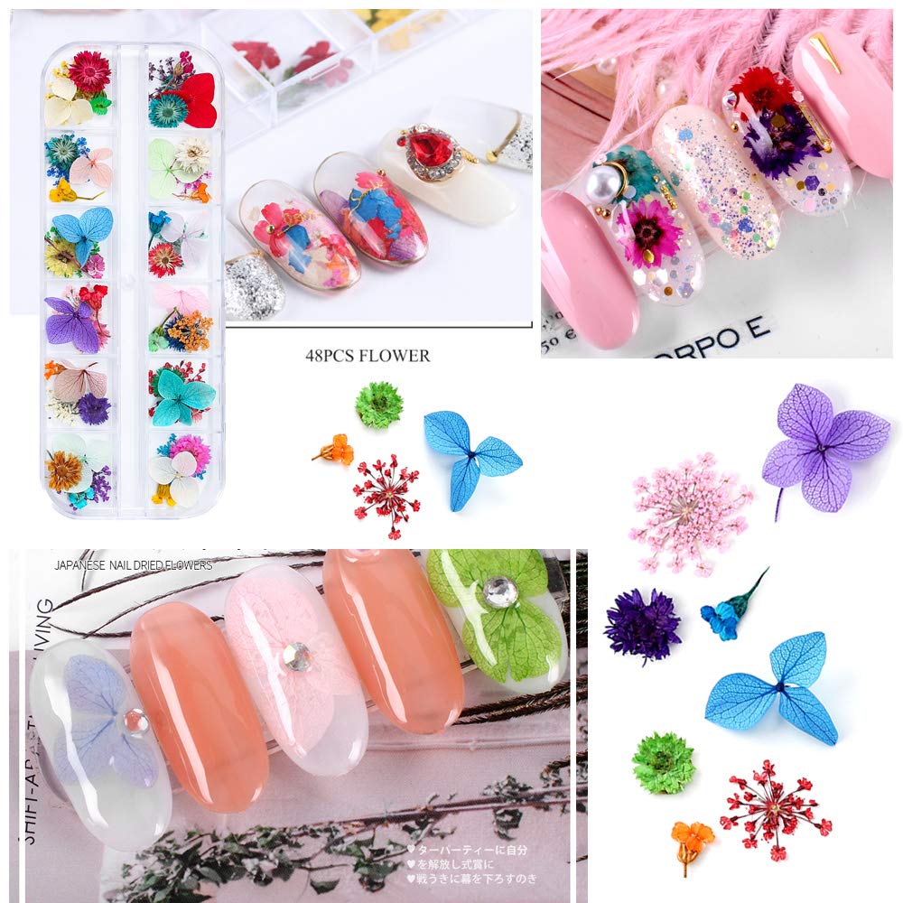 iFancer 108 Pcs Dried Flowers for Resin Nail Art 62 Colors 3D Dry Flowers for Nails 2 Boxes Small Tiny Dried Flowers for Nail Art Little Pressed Real Beauty & Personal Care iFancer