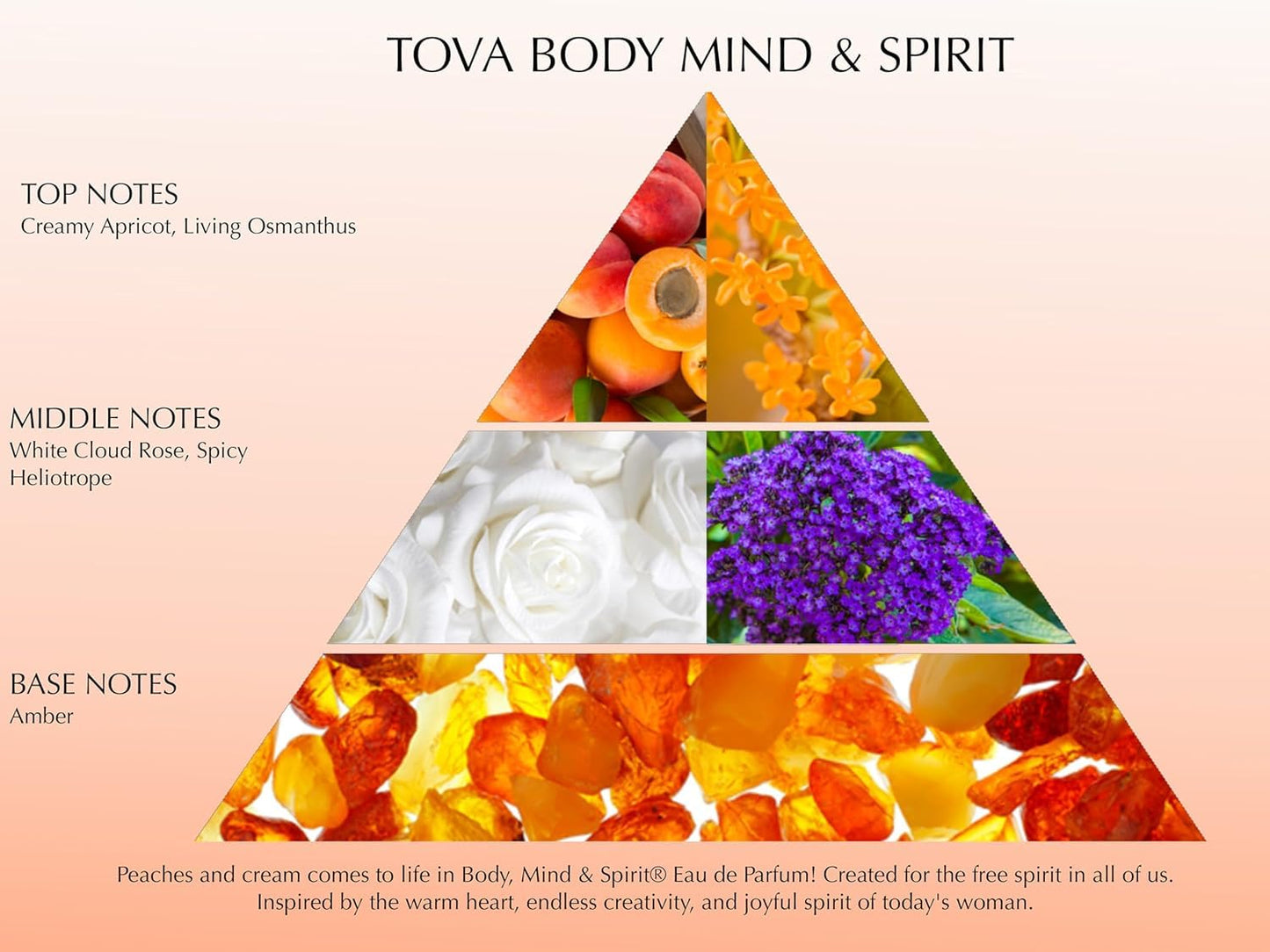Tova Body Mind & Spirit Body Mist - Refreshing Floral Perfume Mist for Women - Light Long-Lasting Body Spray with Osmanthus, Apricot & Amber Beauty & Personal Care Tova