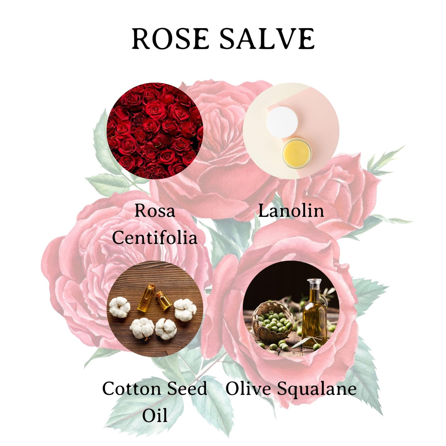 C.O. Bigelow Rose Salve Tins, Pack of 3 Lip Balm Tins, All Purpose Salve for Lips, Cuticles, Hands & Dry Skin, Lip Balm Set, 0.8 oz Beauty & Personal Care C. O. Bigelow
