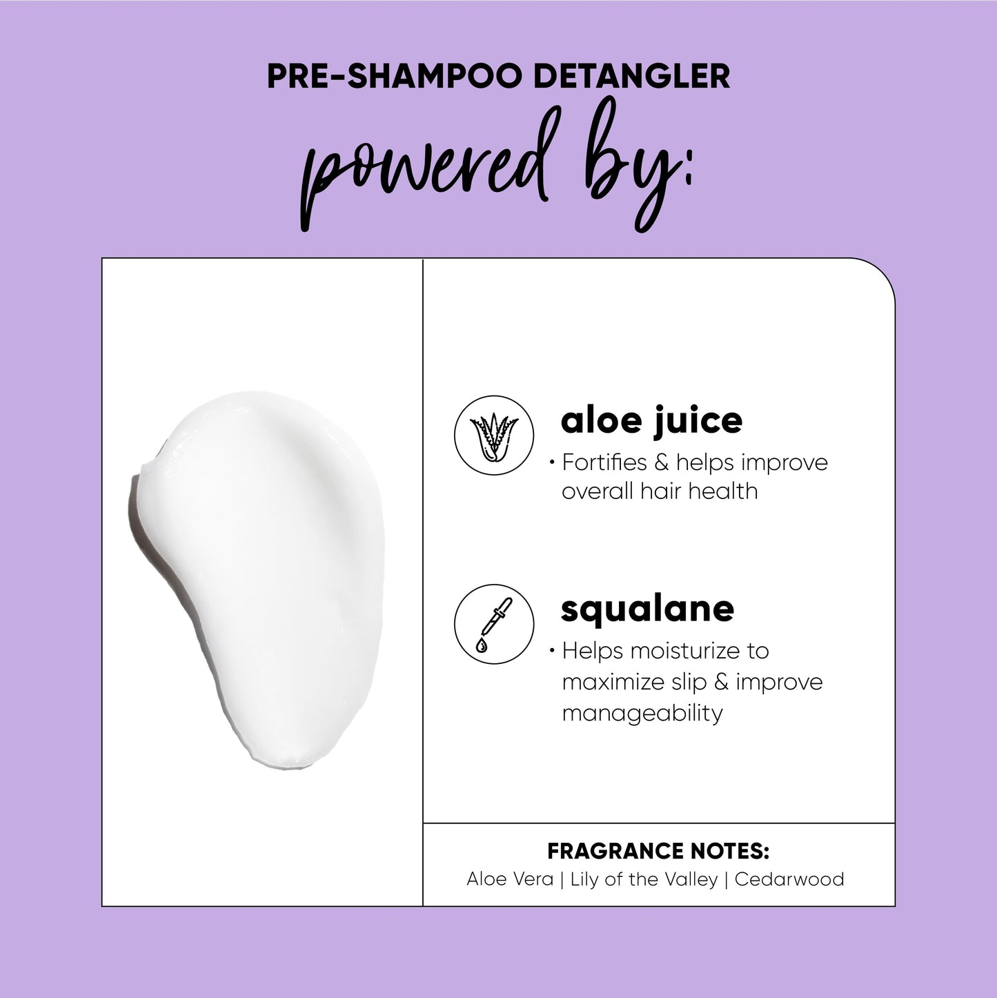 HASK Mega Slip Pre-Shampoo Detangler with Aloe Juice & Squalane for Wavy, Curly, Coily & Kinky Hair, Moisturizes, Adds Slip, Reduces Breakage, Vegan Beauty & Personal Care HASK