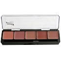 Lip Palettes (Cool Lip Palette) Beauty & Personal Care Graftobian