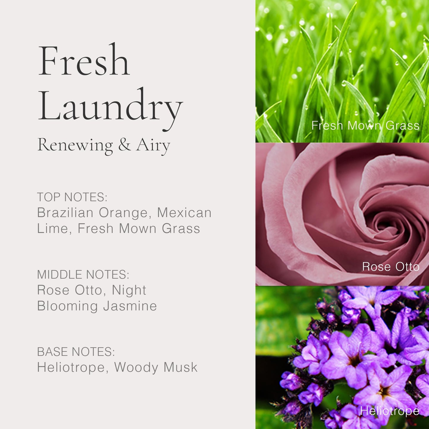 CLEAN CLASSIC Fresh Laundry 30mL Beauty & Personal Care CLEAN