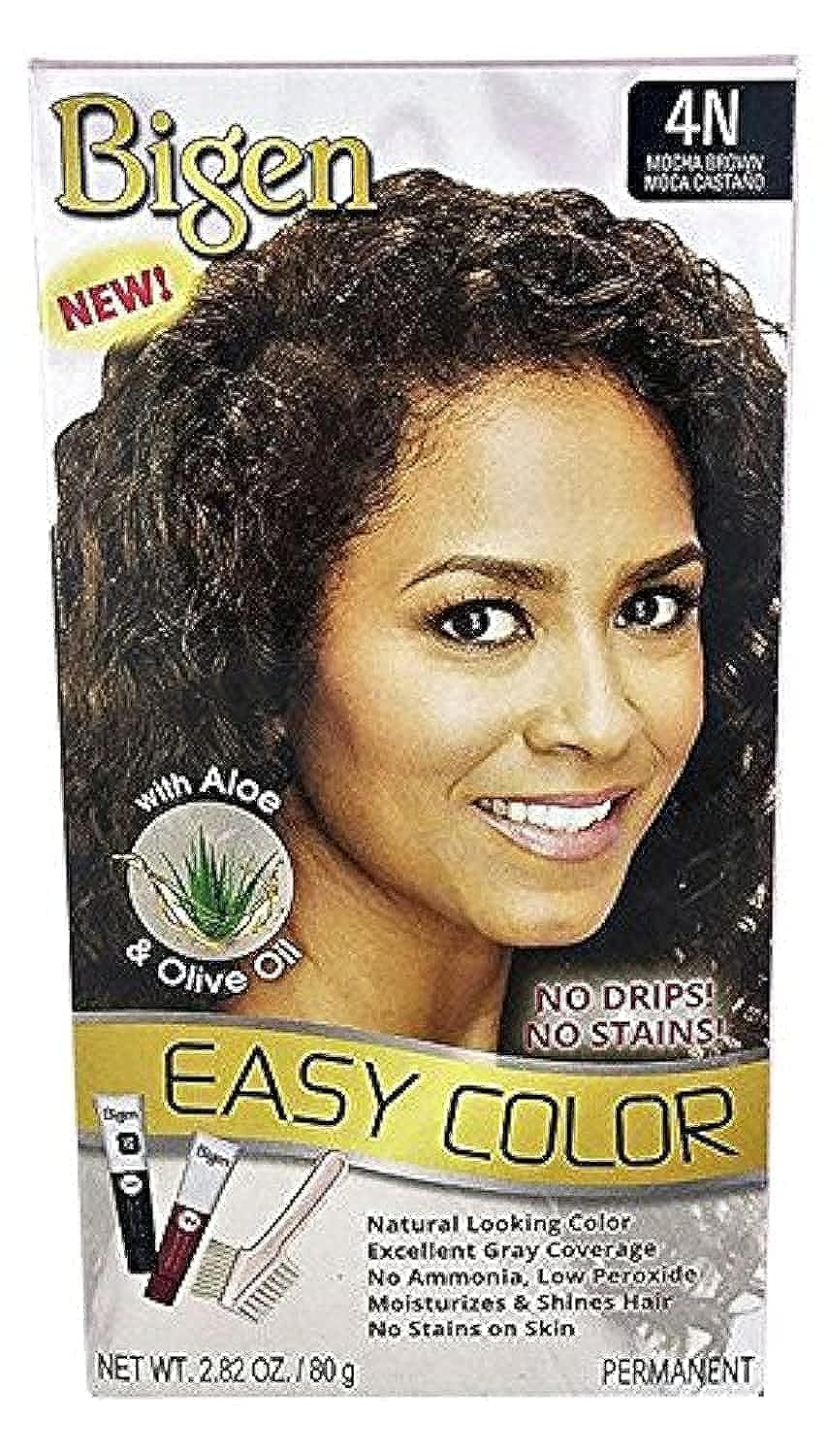 BIGEN - EASY COLOR Beauty & Personal Care Bigen