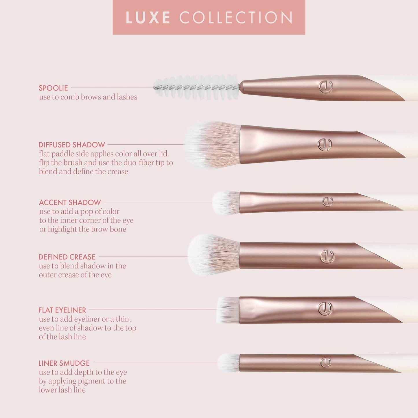 EcoTools Luxe Exquisite Eye Makeup Brush Kit, For Eyeshadow, Eyeliner, & Brow Makeup, Professional Eye Brush Set, Eco-Friendly Makeup Tools, Synthetic Beauty & Personal Care EcoTools
