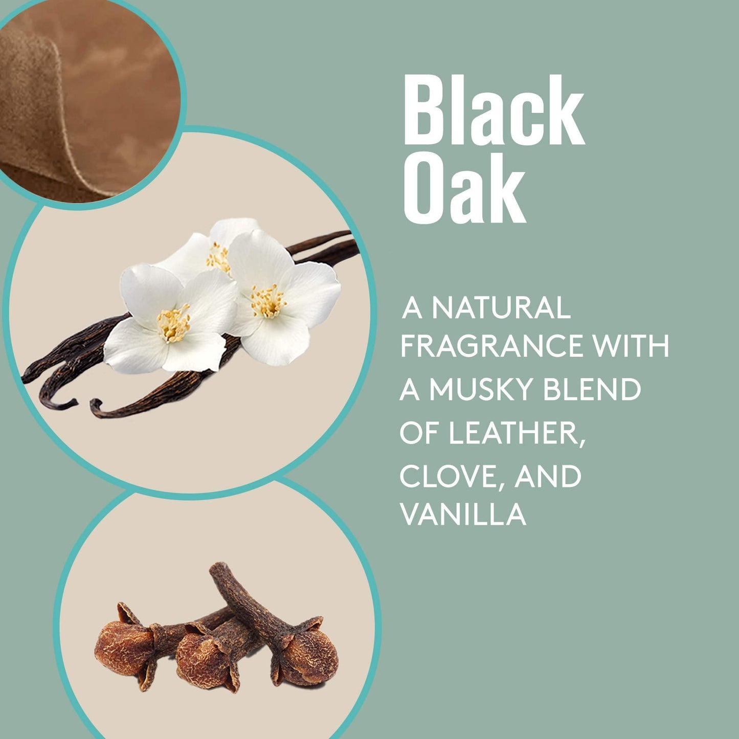 Barrel and Oak Black Oak Cologne 2.7oz – Natural Essential Oil Scent for Men, Warm Oak & Spicy Bergamot, Earthy, Paraben & SLS Free Beauty & Personal Care Barrel & Oak