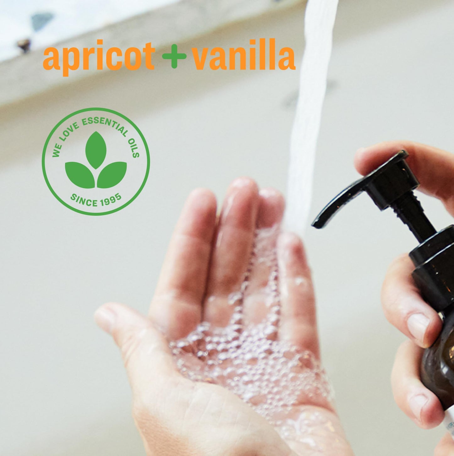 Everyone Liquid Hand Soap, 12.75 Ounce (Pack of 3), Apricot and Vanilla, Plant-Based Cleanser with Pure Essential Oils Beauty & Personal Care everyone for every body