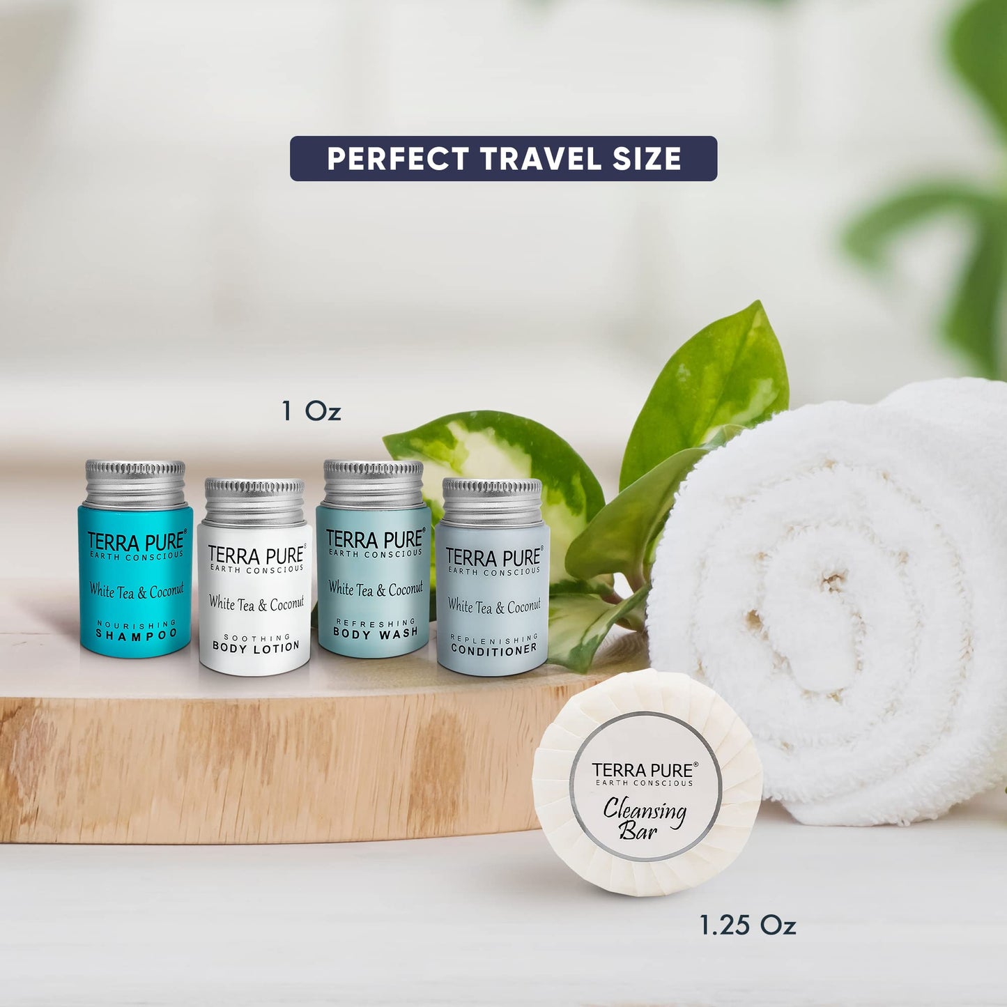 Terra Pure White Tea & Coconut Toiletries Set | 1-Shoppe Amenities Kit | 1oz Shampoo & Conditioner, Body Wash, Lotion, 1.25oz Bar Soap | Travel Size | Beauty & Personal Care Terra Pure