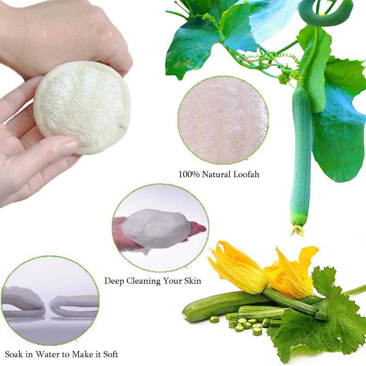 Loofah Sponge Exfoliating Facial Cleaning Pads,10 Packs Natural Loofa Face Scrubber Large Cleanser for Men Women Bath Spa Cleansing,3.15 Inches Dia Beauty and Personal Care Tegelrying