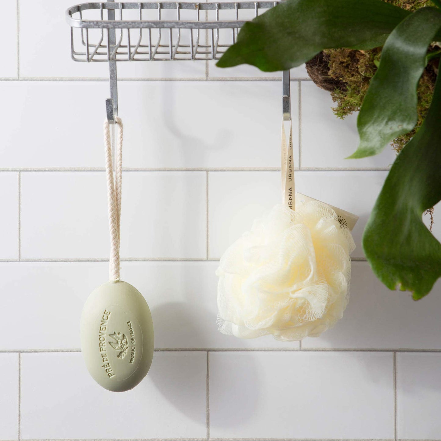 Pre de Provence Soap On a Rope, Sage, 200 Gram Beauty & Personal Care Pre de Provence